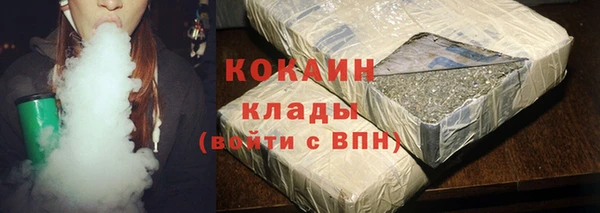 твердый Новодвинск