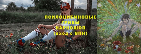 соль ск Абдулино