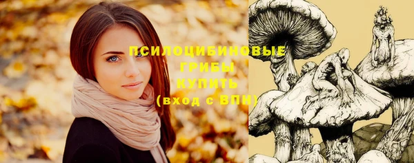твердый Новодвинск